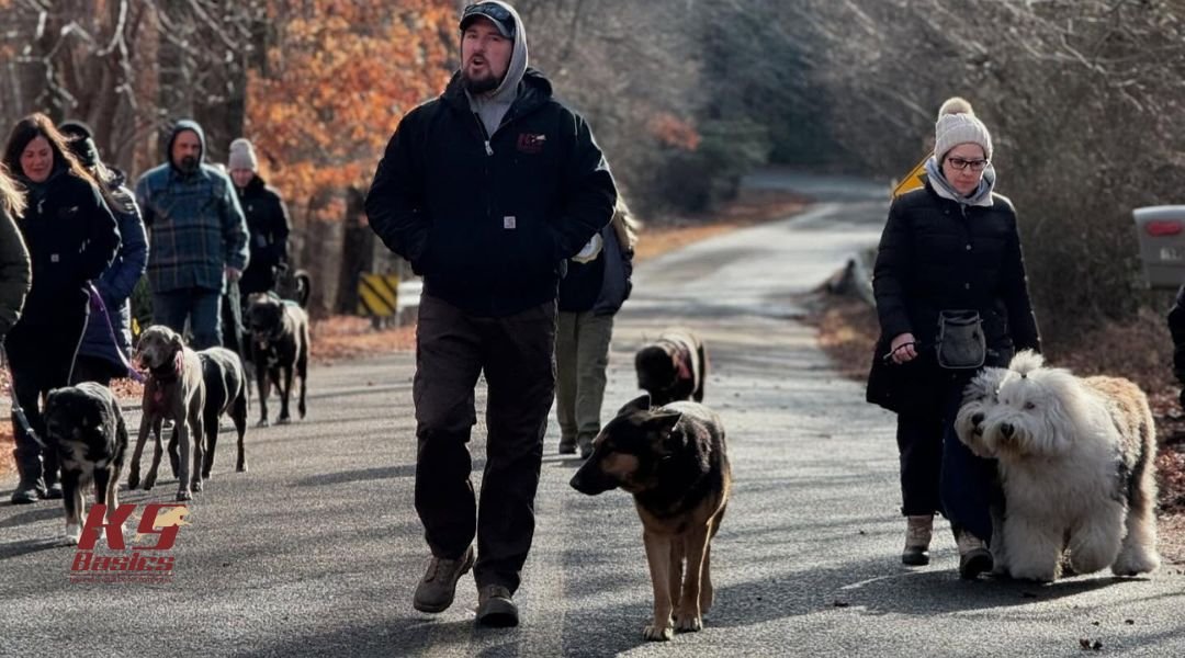 In-Person Dog Training at K9 Basics