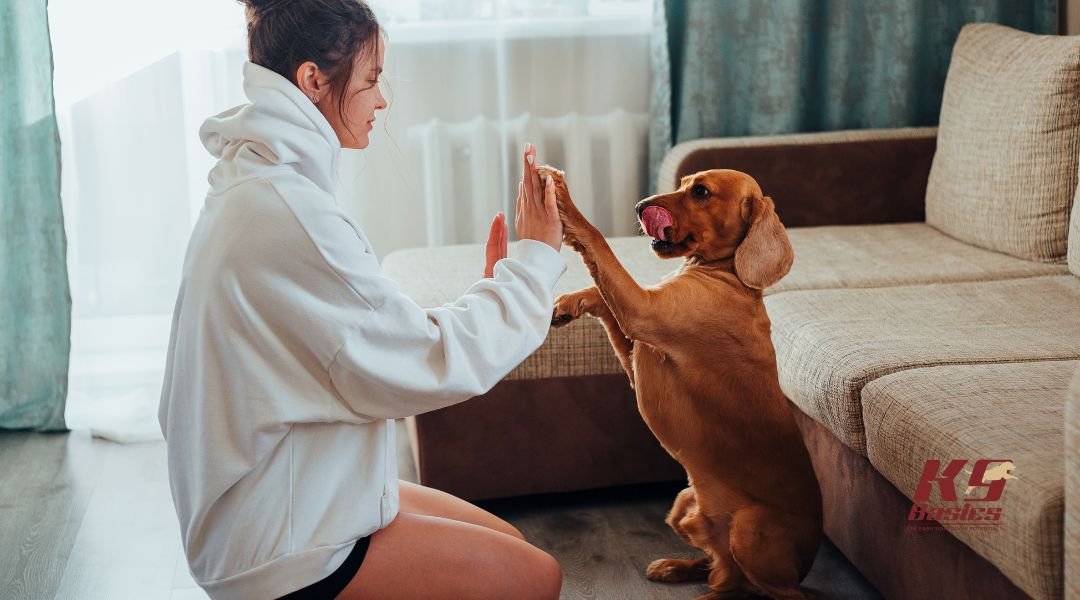 Dog owner playing with dog holding paws