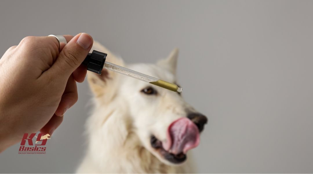 Owner with a vial of a calming remedy for dog anxiety