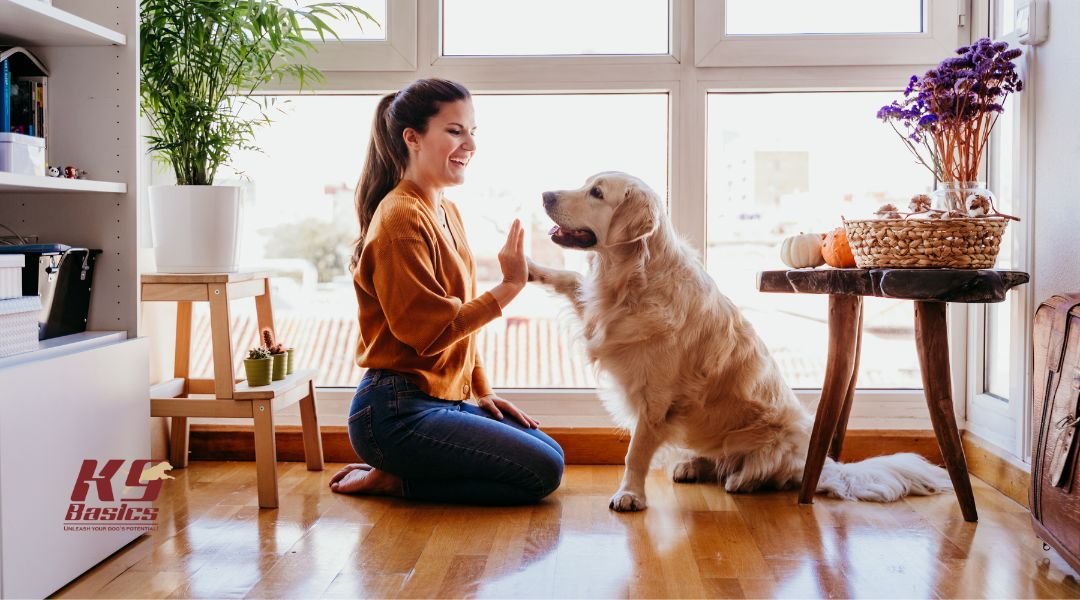 Dog and ower touching paw and palm of hand
