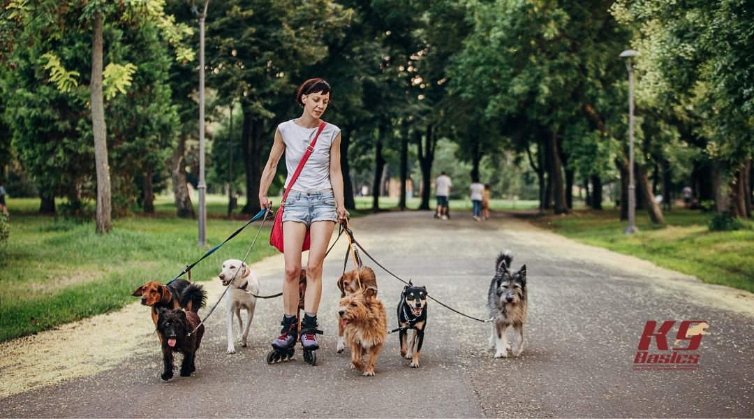 Top 7 Dog-Friendly Parks and Trails in Marlton, NJ