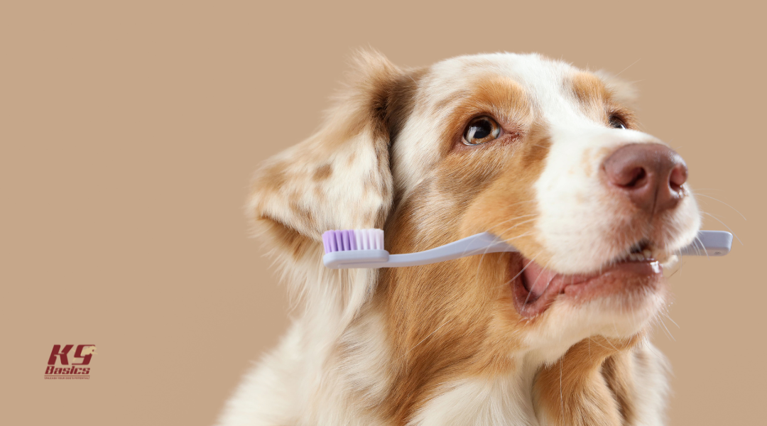 Training Your Dog to Accept Tooth Brushing: A February Challenge