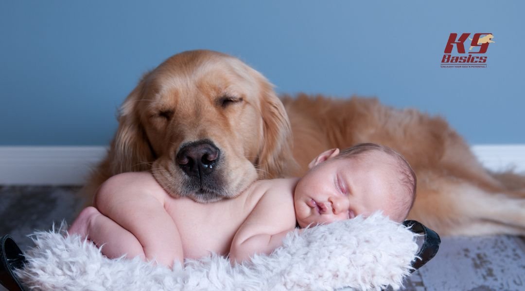 Dog and baby sleeping