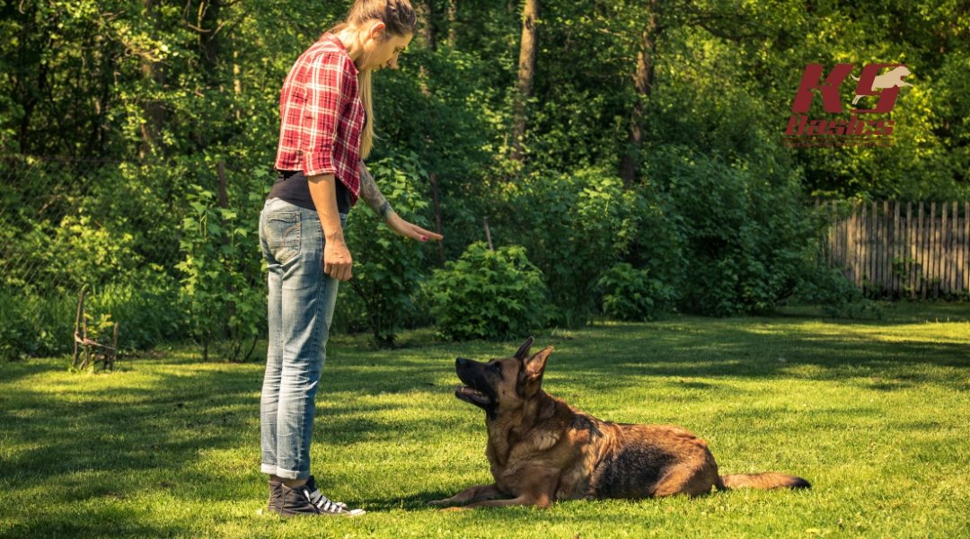 Woman giving obedience commands to a German Shepherd in a sunlit backyard during training.