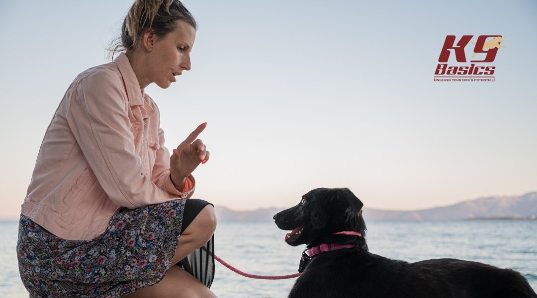 Woman kneeling by a calm black dog near the water, using hand signals to train, with K9 Basics logo in the corner, highlighting calm communication and obedience training.