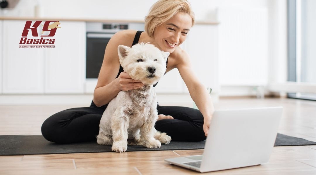 Woman sitting on a yoga mat with a small white dog while looking at a laptop, representing virtual or at-home dog training with K9 Basics.