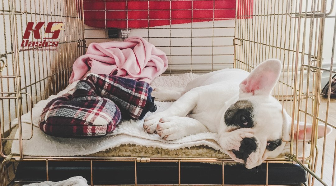 French Bulldog puppy resting in a crate with cozy bedding and a pink blanket, illustrating crate training for better puppy sleep habits.
