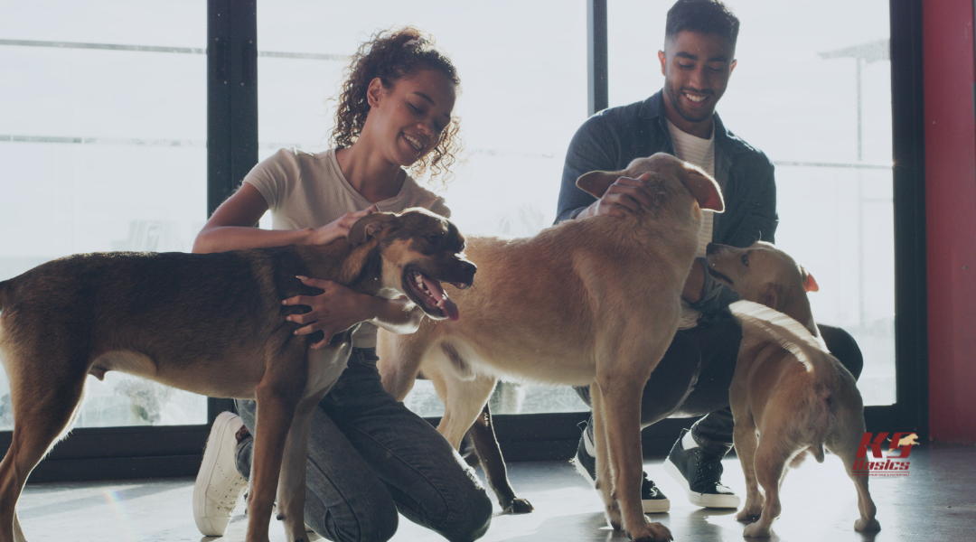 The “United Front” Strategy: Protecting Your Training Investment from Household Inconsistency