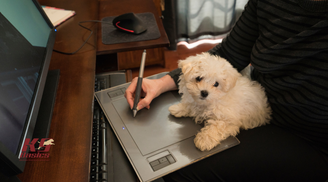 Can You Balance a Demanding Job and Life with a New Puppy?