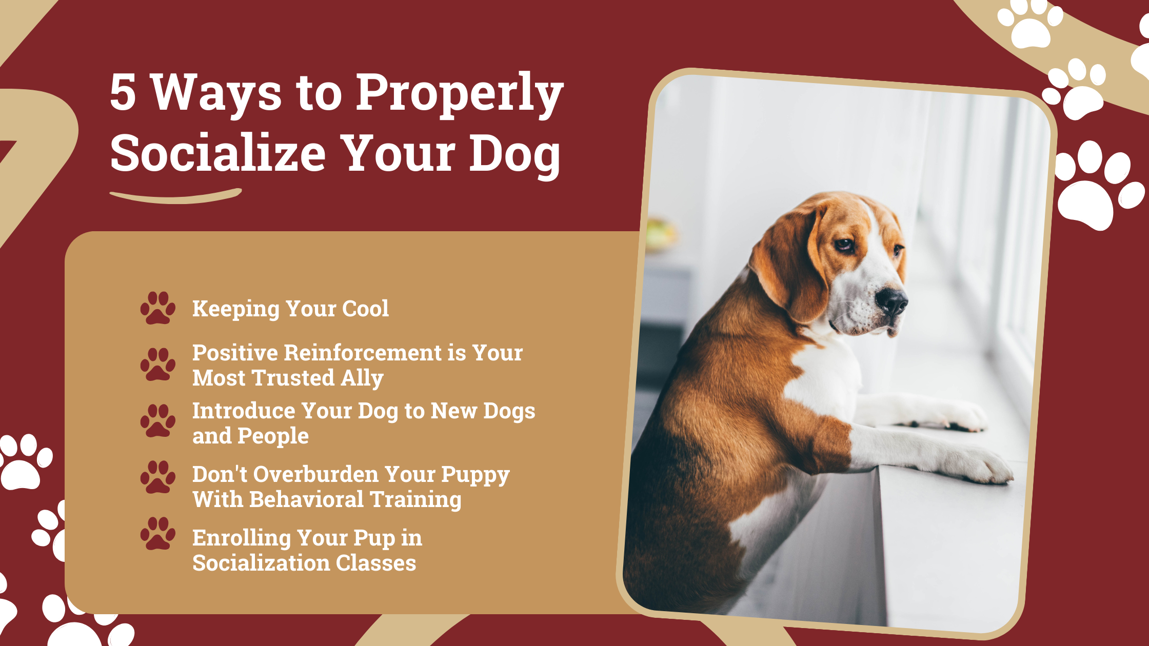 https://k9basics.com/wp-content/uploads/5-Ways-to-Properly-Socialize-Your-Dog.png