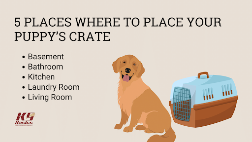 5 Places Where to Place Your Puppy's Crate