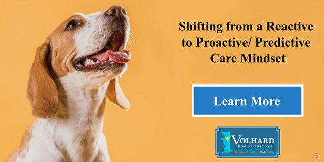 Transforming Dog Health Series Part I: Shifting from a Reactive to Proactive/ Predictive Care Mindset