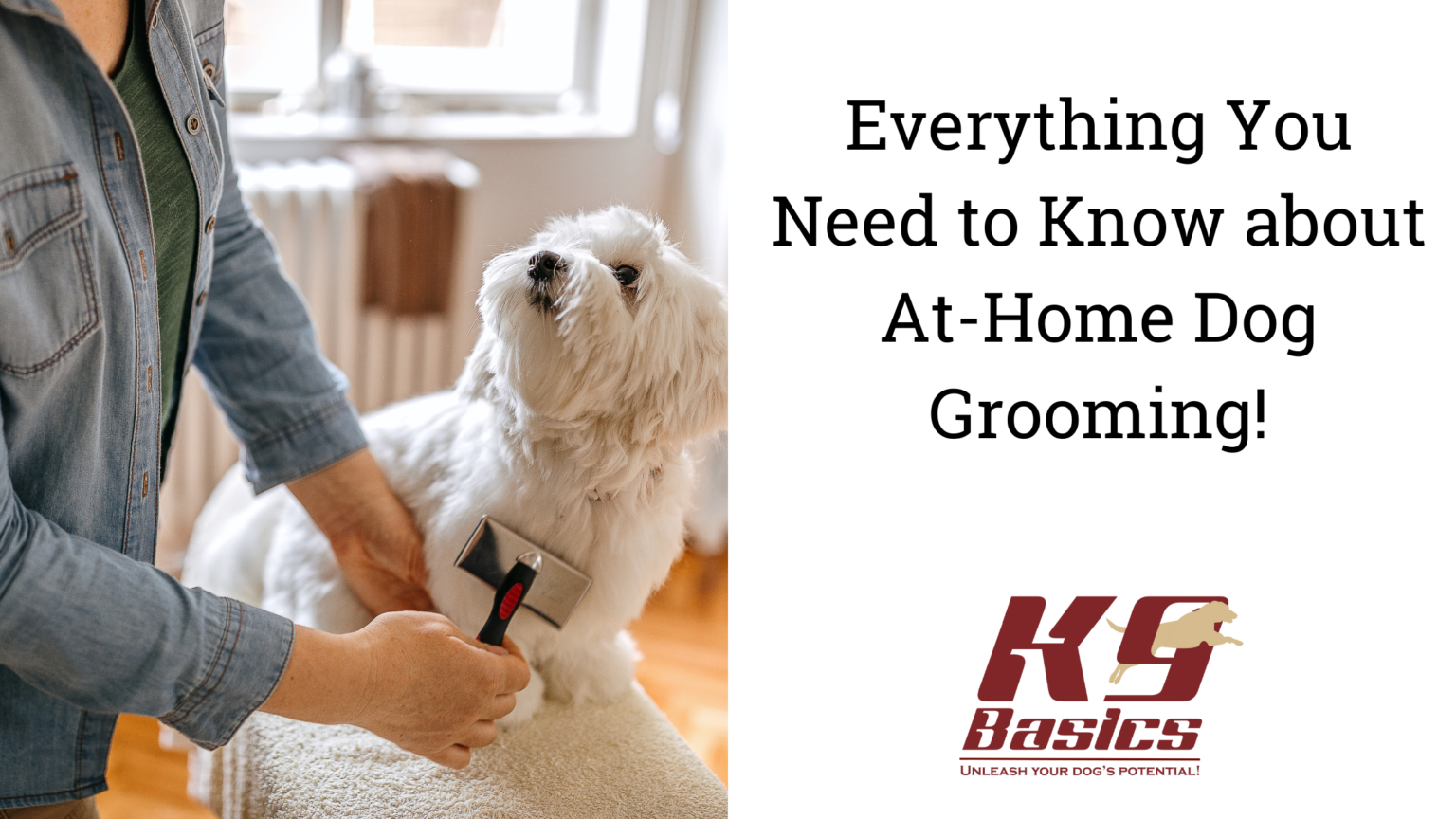 Everything You Need To Know About AtHome Dog Grooming!