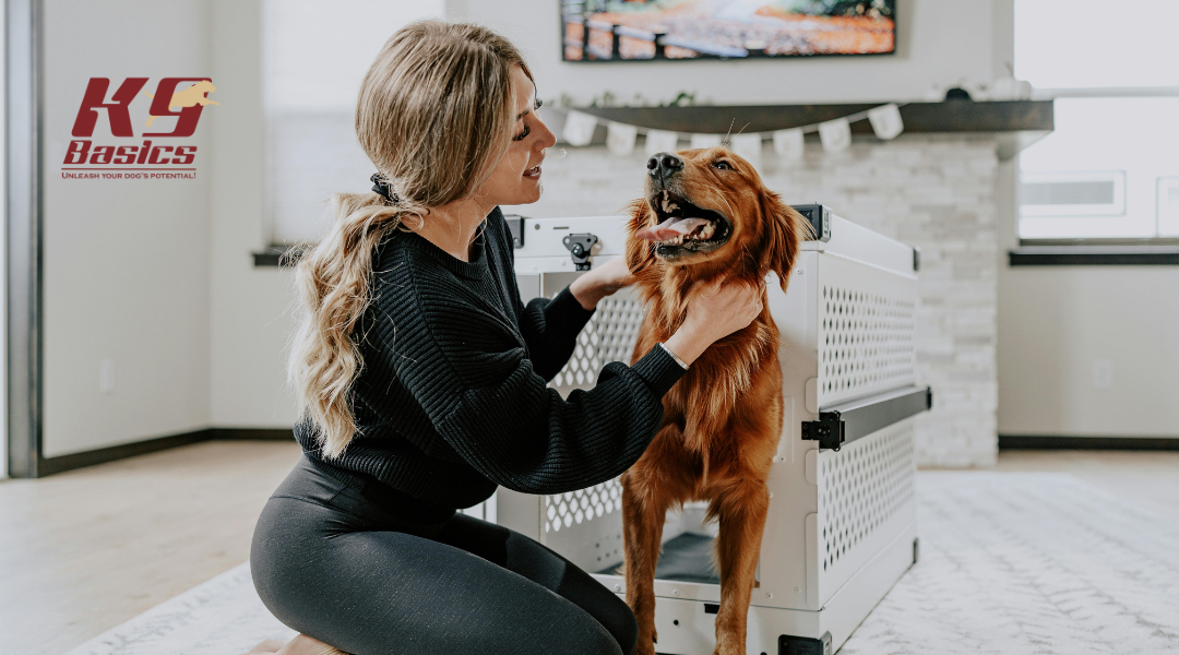Overcoming Crate Training Hurdles: K9 Basics’ Step-by-Step Guide for All Ages