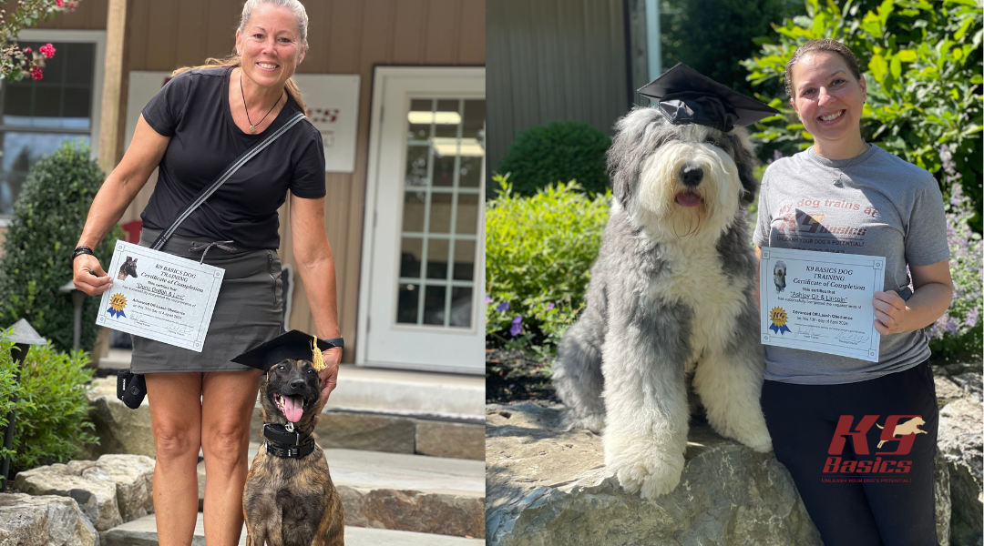 Dog owners holding graduation certificates