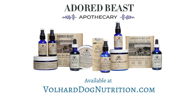 An In-depth Look at Adored Beast Apothecary Products