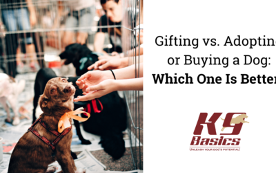 Gifting vs. Adopting or Buying a Dog: Which One Is Better?