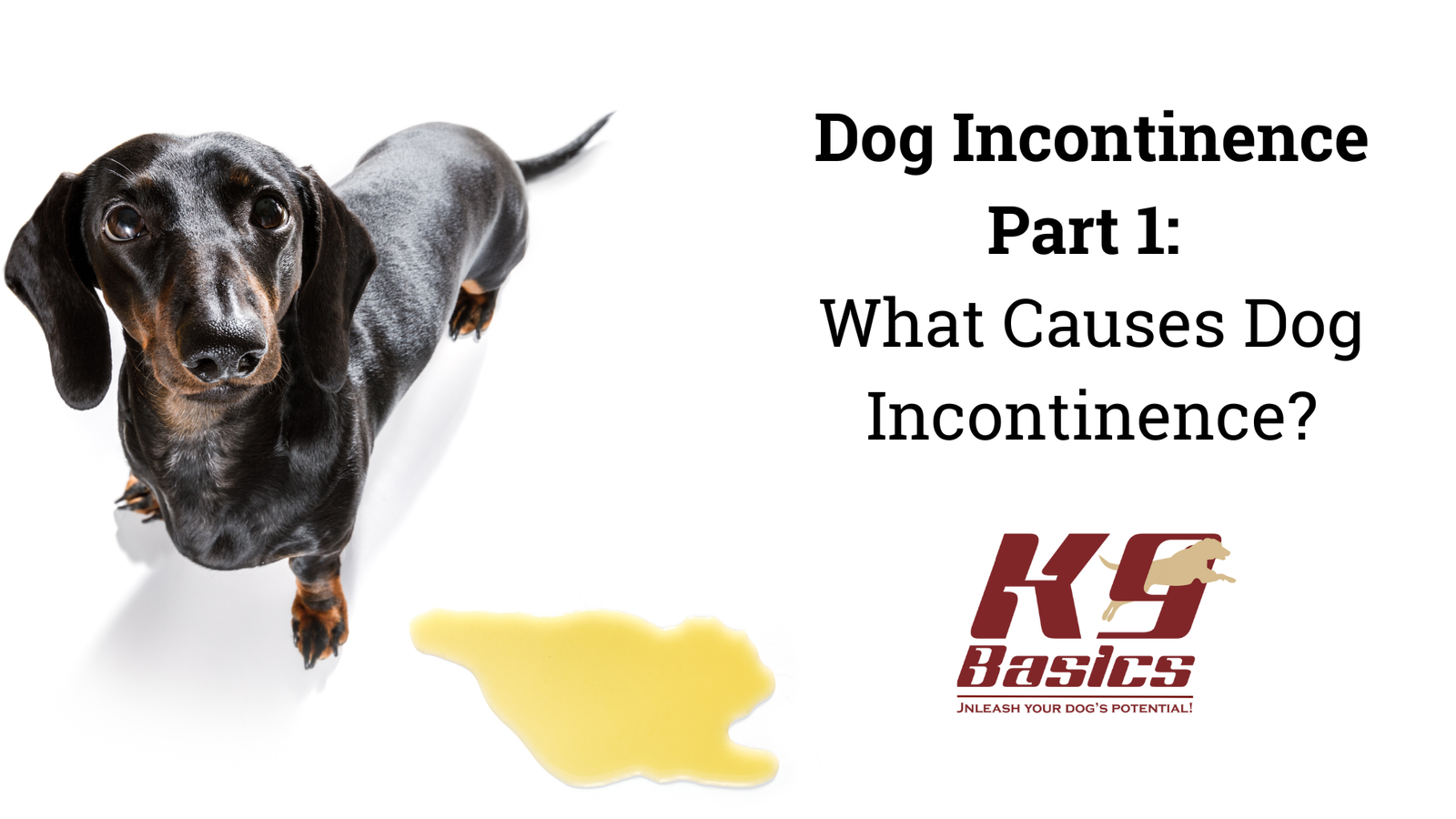 June Blog Graphics (1)