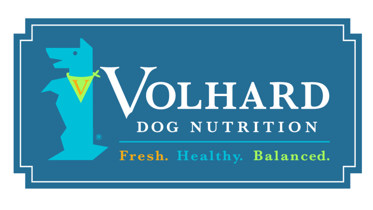 New Jersey Dog Training and OffLeash Control K9 Basics